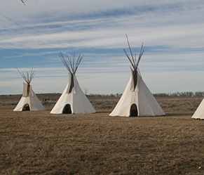 Four white Indian lodges on a grassy plain.