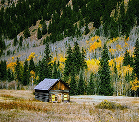 mountains,cabin,foliage