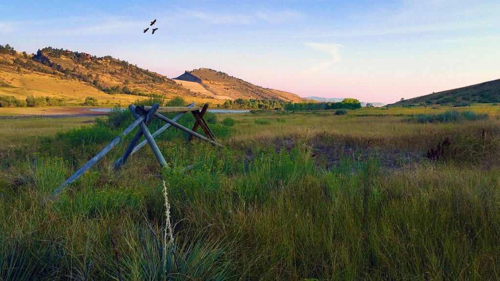 pineridge natural area, hawk, flight, Fort Collins, Colorado