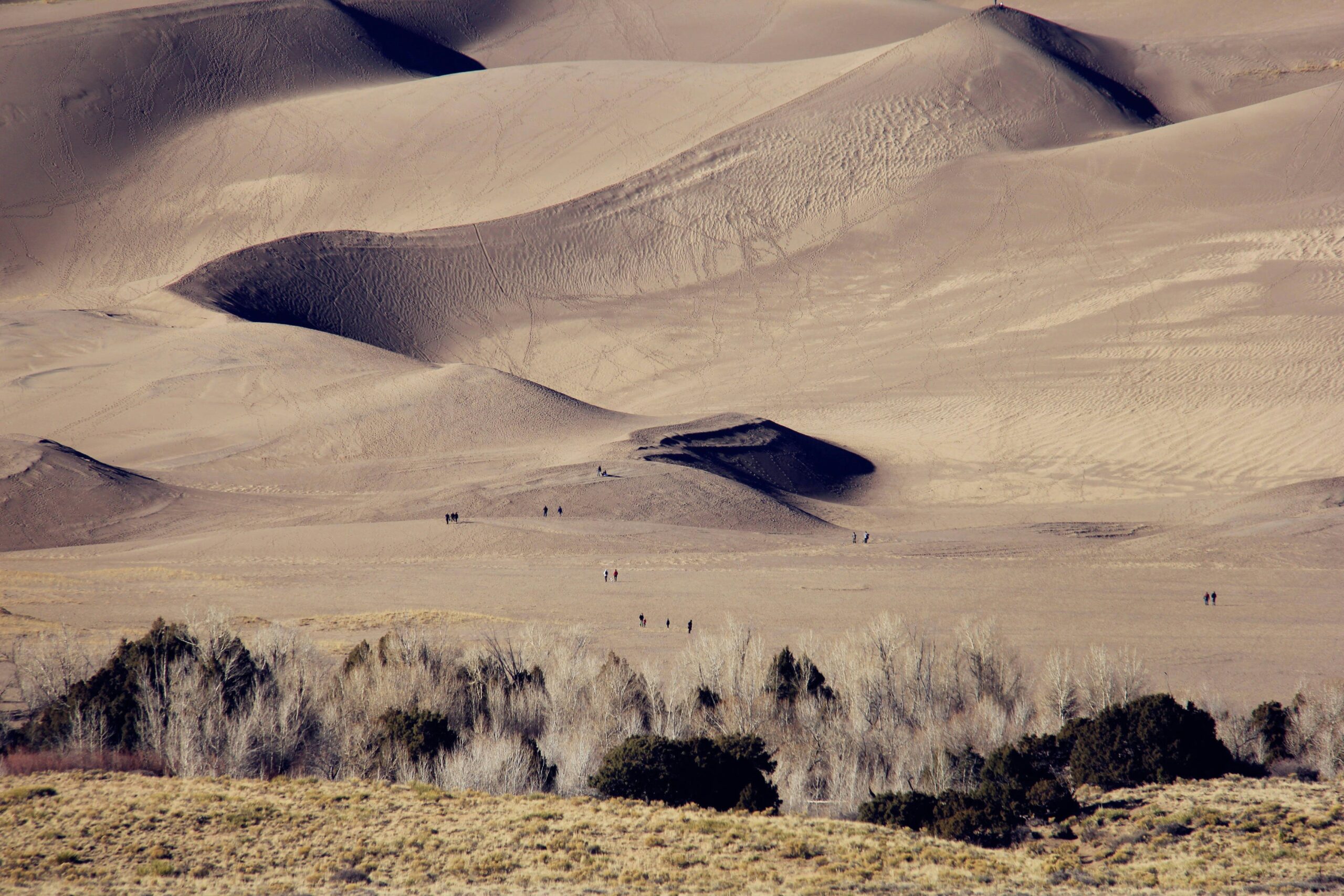 brown sand at daytime