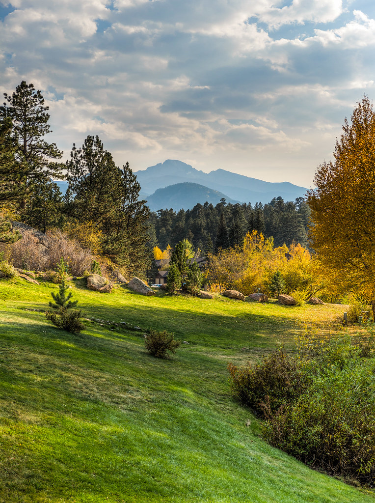 Mountains, trees, scenic views