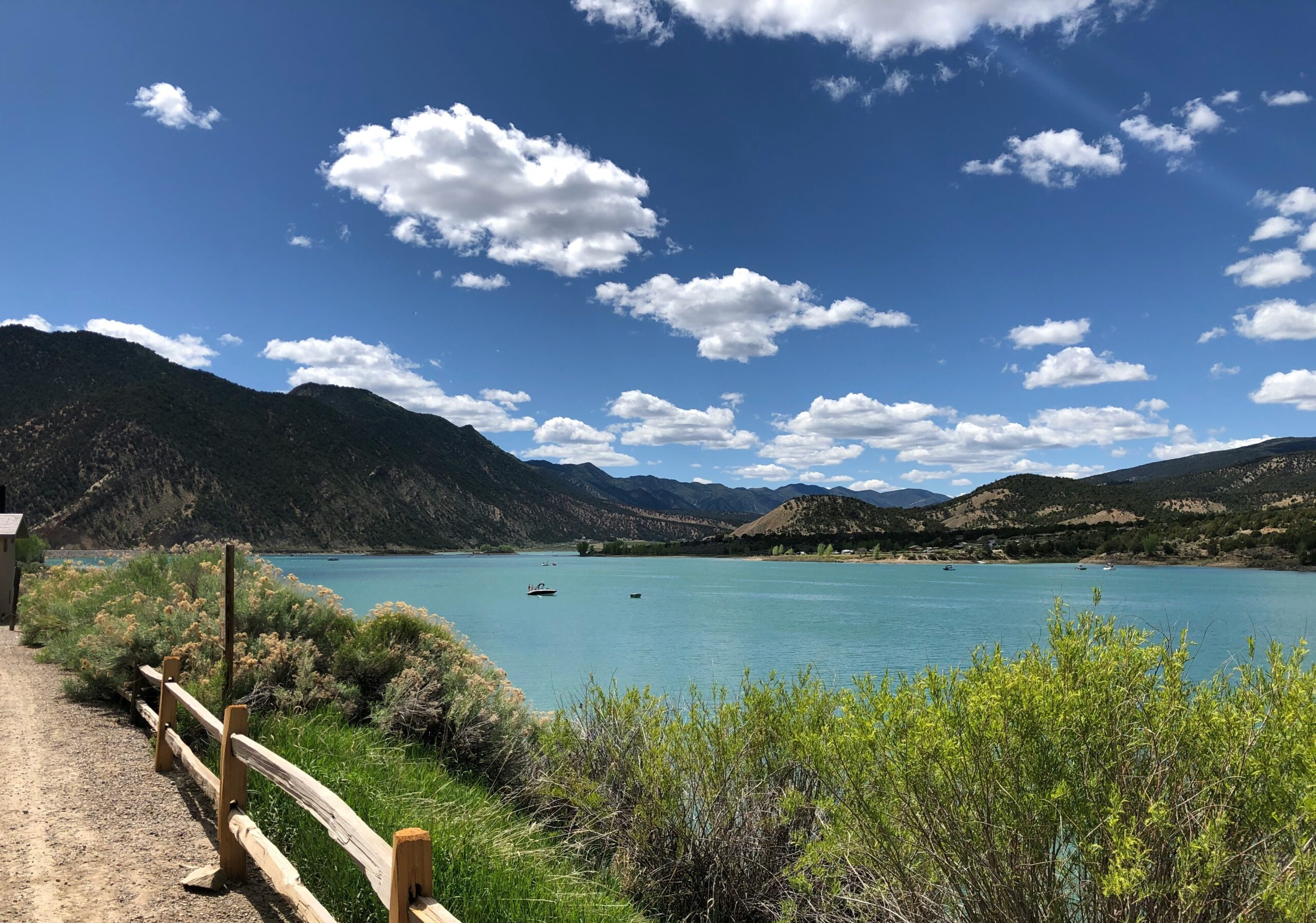 green grass near body of water under blue sky during daytime