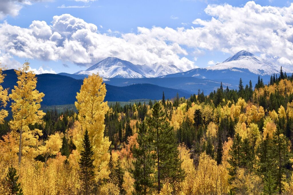 fall, forest, great places to see, colorado