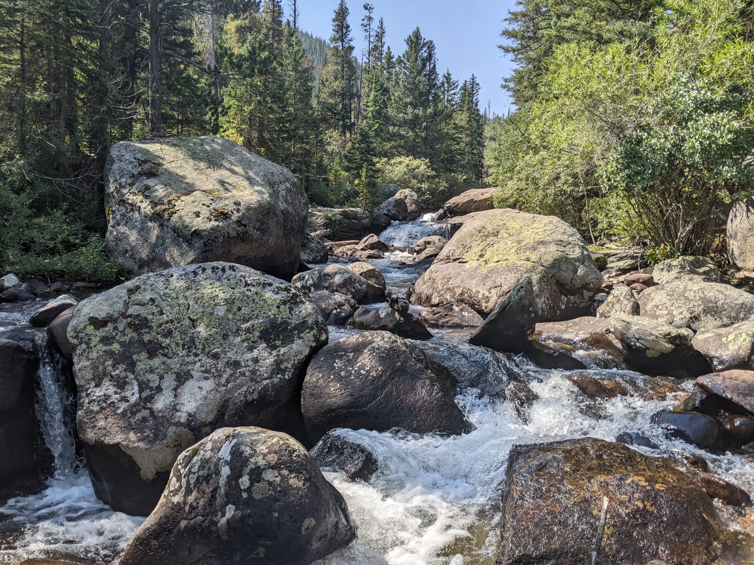 Beautiful stream with boulders and forest in Allenspark, CO., Colorado
