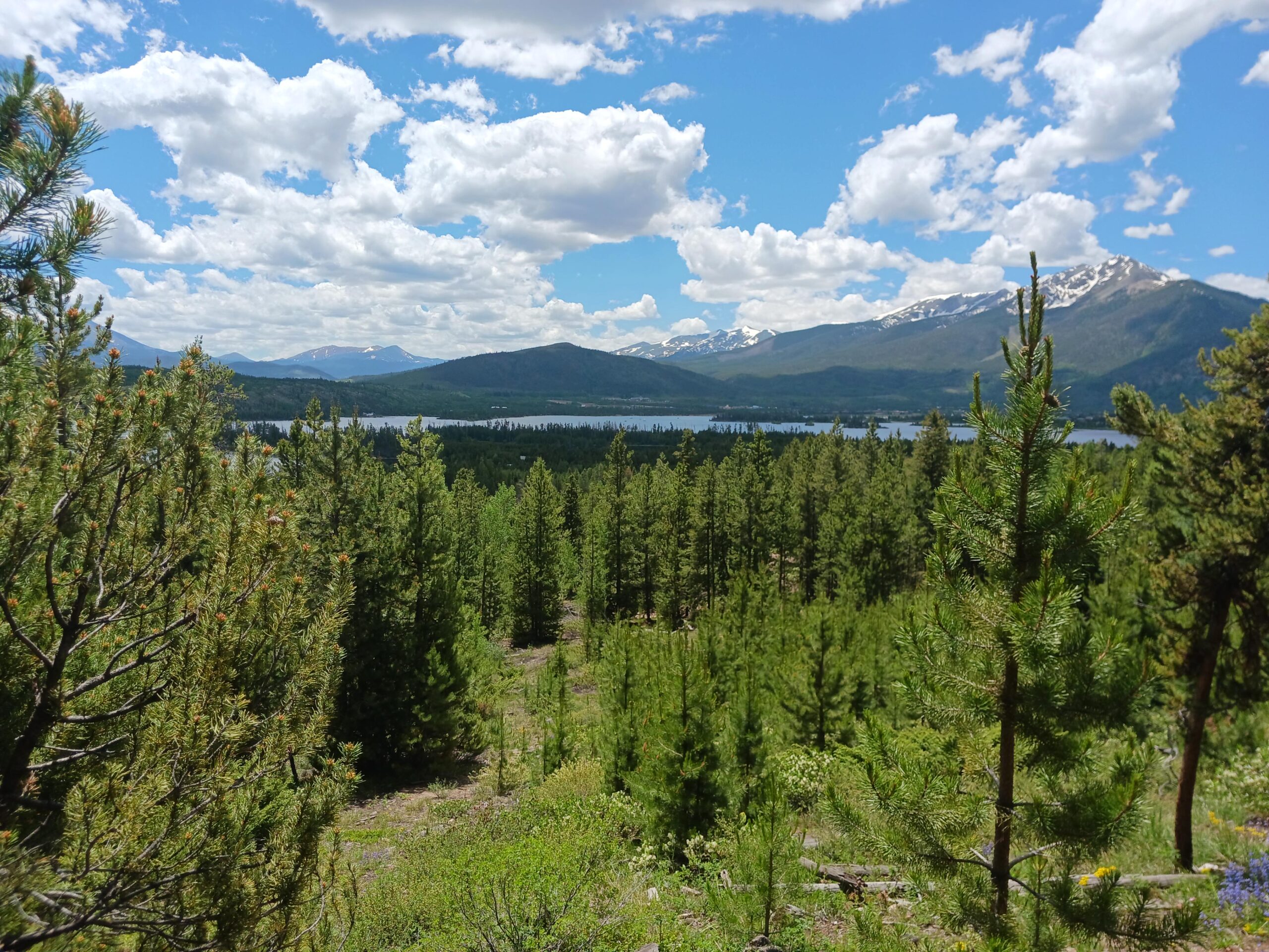 Scenic mountain landscape with a lake, snow-capped peaks, and a foreground of pine trees under a blue, cloud-filled sky, taken on a sunny day.